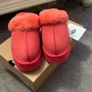 Brand new with box Women’s Ugg Slippers Size: 8